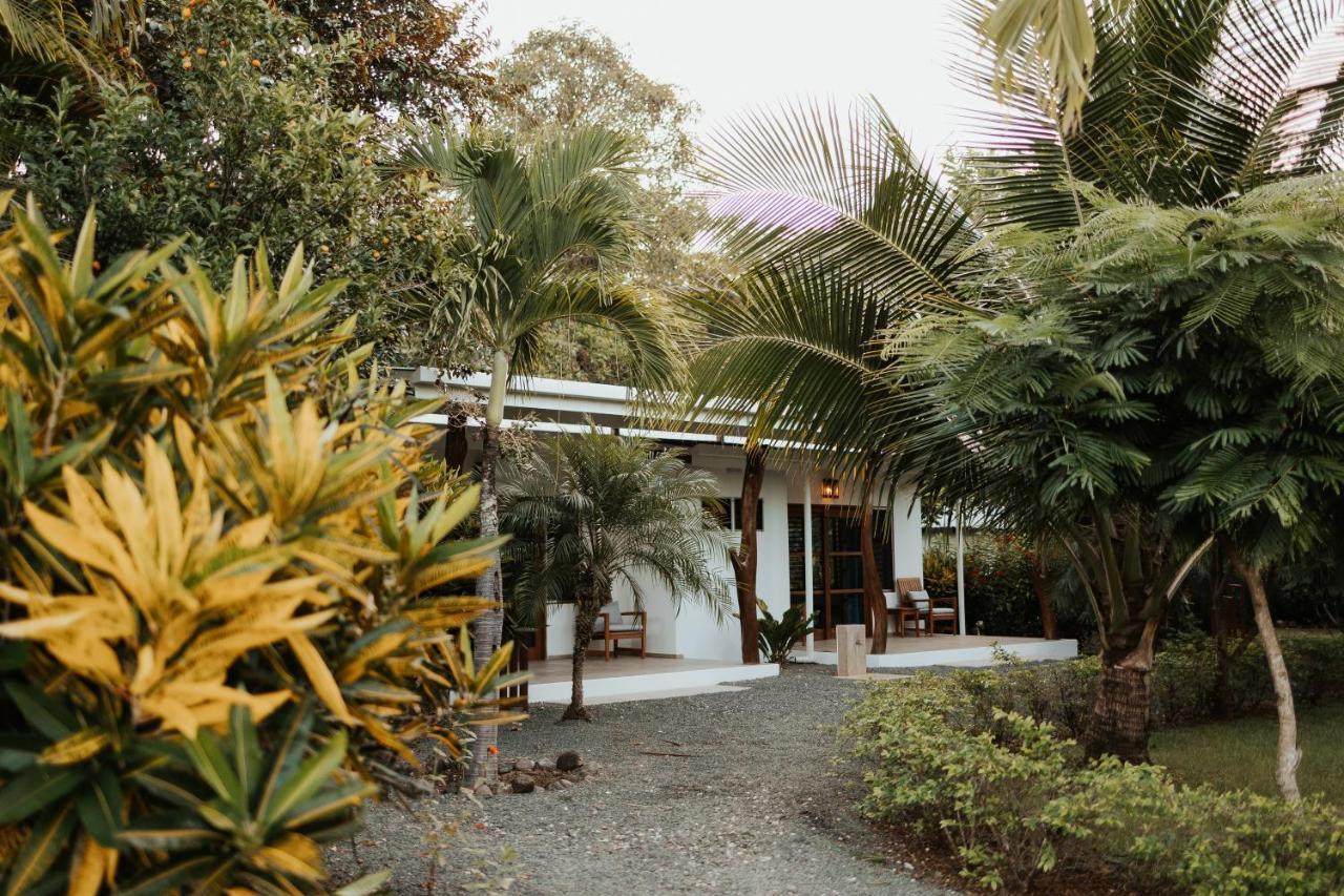 Salvatierra Beachfront Hotel Puerto Coyote Exteriör bild